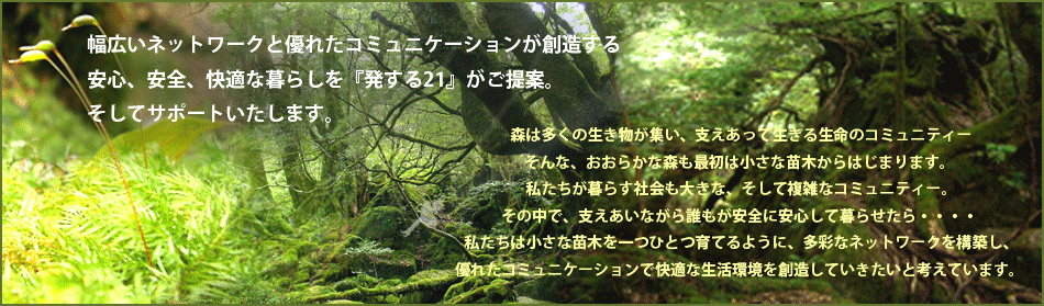 Д21|el@21ЊTv@摜